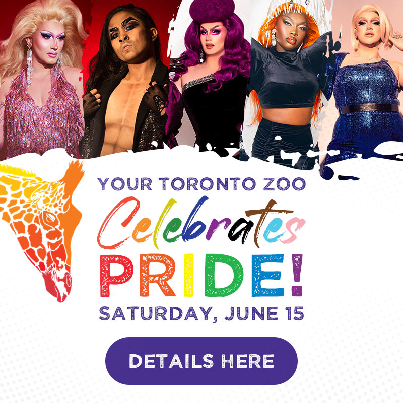 Your Toronto Zoo Celebrates PRIDE Saturday, June 15, 2024 - Details Here