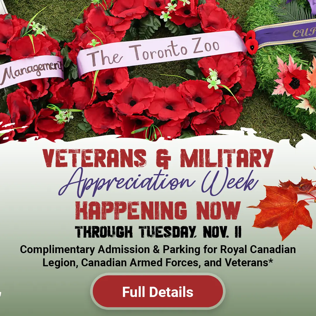 Veterans and Military Appreciation Week - Happening Now Through Tuesday, November 11 - Complimentary Admission & Parking for Royal Canadian Legion, Canadian Armed Forces, and Veterans* - Details Here