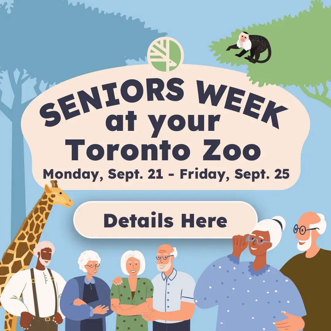 Seniors Week at your Toronto Zoo - Monday, Sept.21 - Friday, Sept. 21