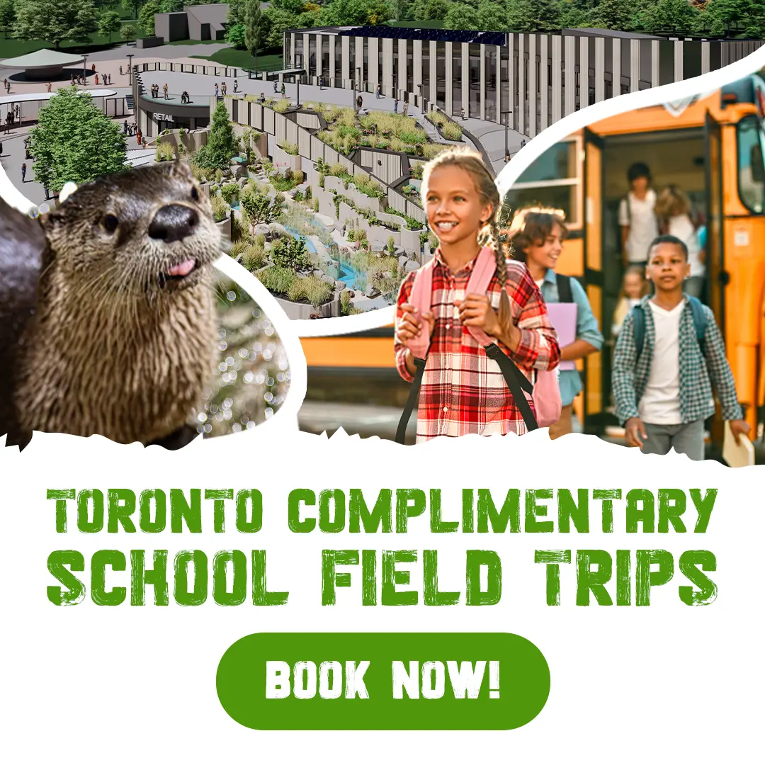 Toronto Complimentary School Field Trips