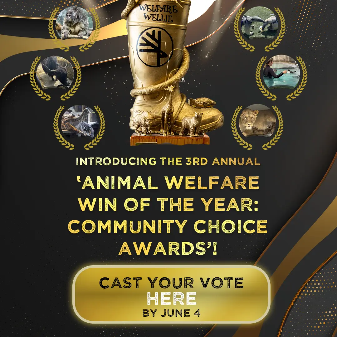 Introducing the 3rd Annual 'Animal Welfar win of the Year: Community Choice Awards'! - Cast Your Vote Here By June 4
