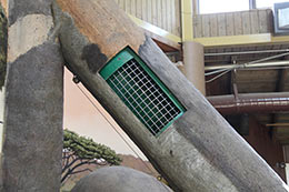 Tree feeding station