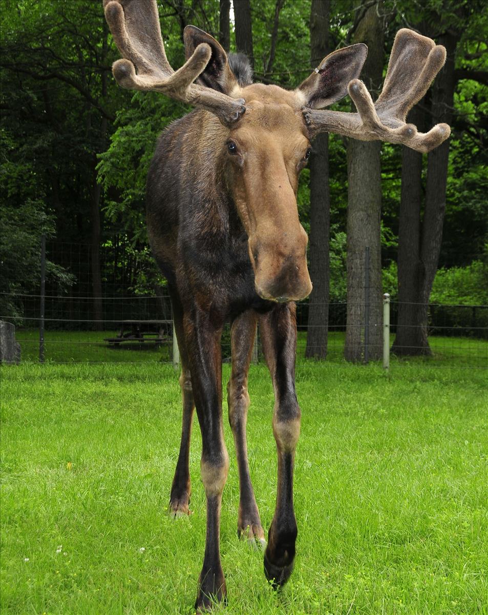 Toronto Zoo Hours