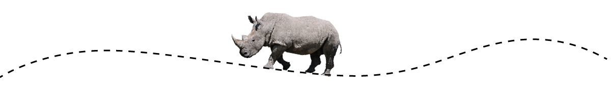 Rhino Running