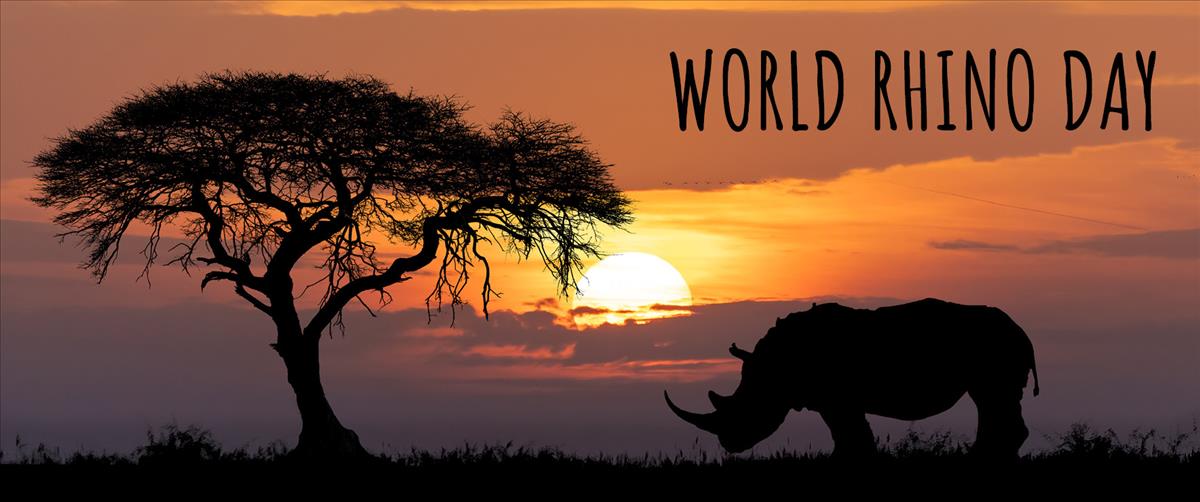 World Rhino Day