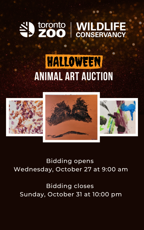 Toronto Zoo Wildlife Conservancy's Halloween Animal Art Auction. Bidding opens Wednesday October 27 at 9AM. Bidding closes Sunday October 31st at 10PM.
