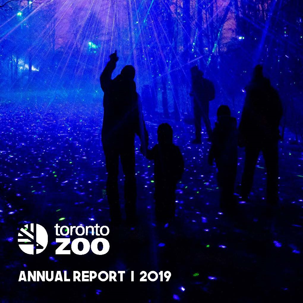 Cover of Annual Report 2019 document