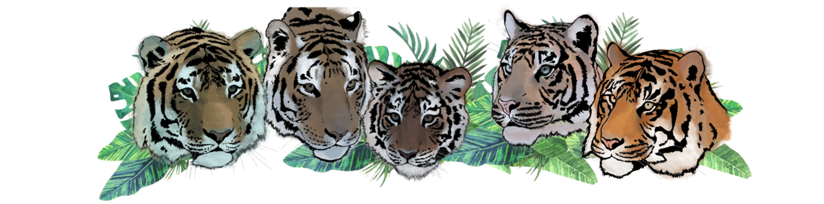 Five tiger faces painted in front of plants