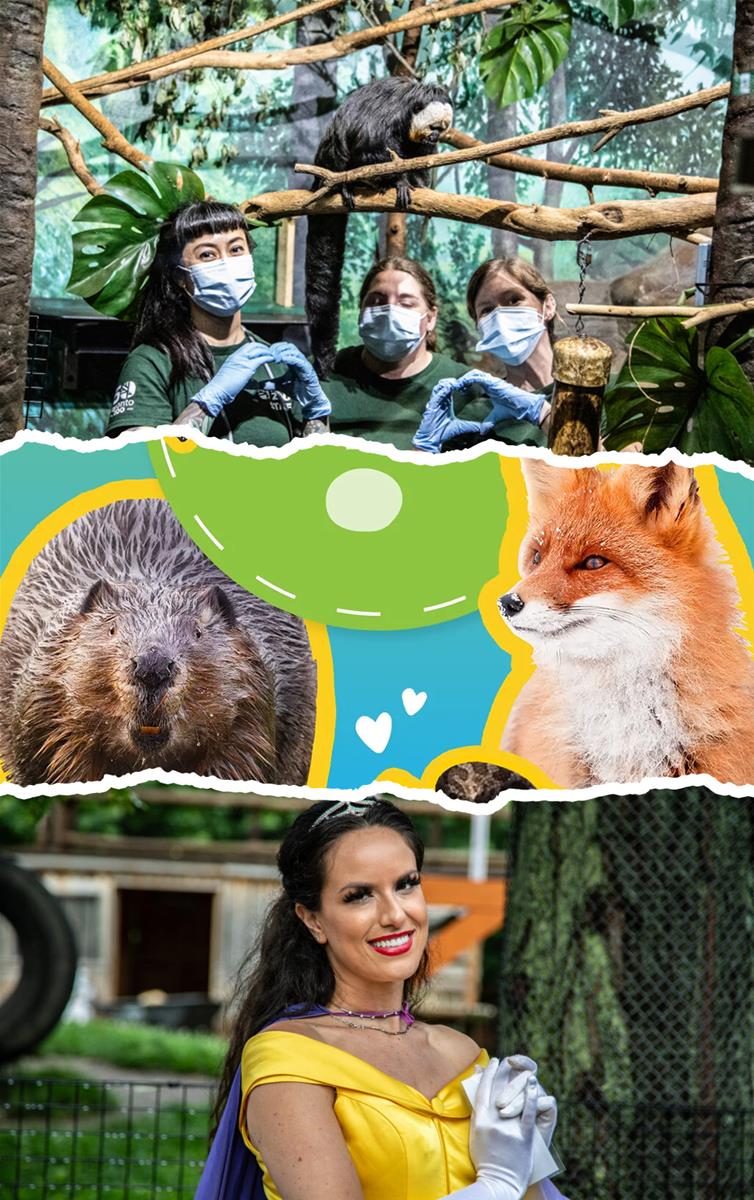 Toronto Zoo Attractions and Shops Offers