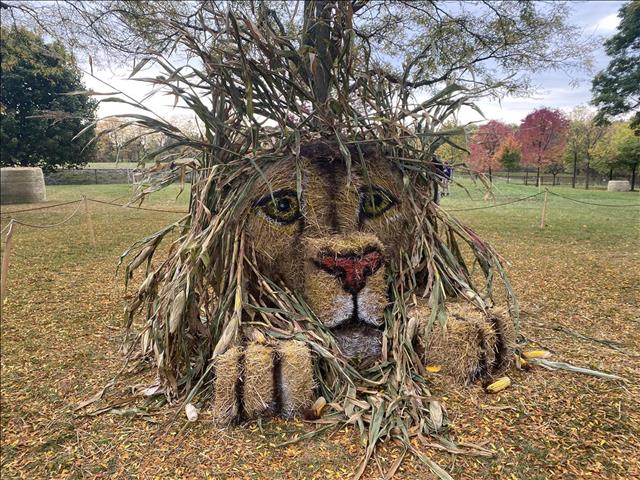 HayloweenTown