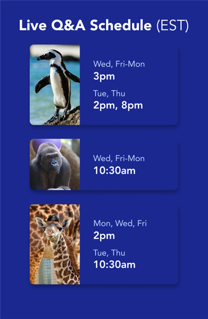 Brizi Schedule 3 - 2