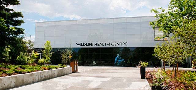 Wildlife Health Centre