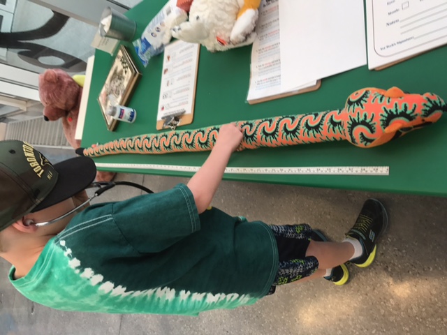 Boy looking at fake snake