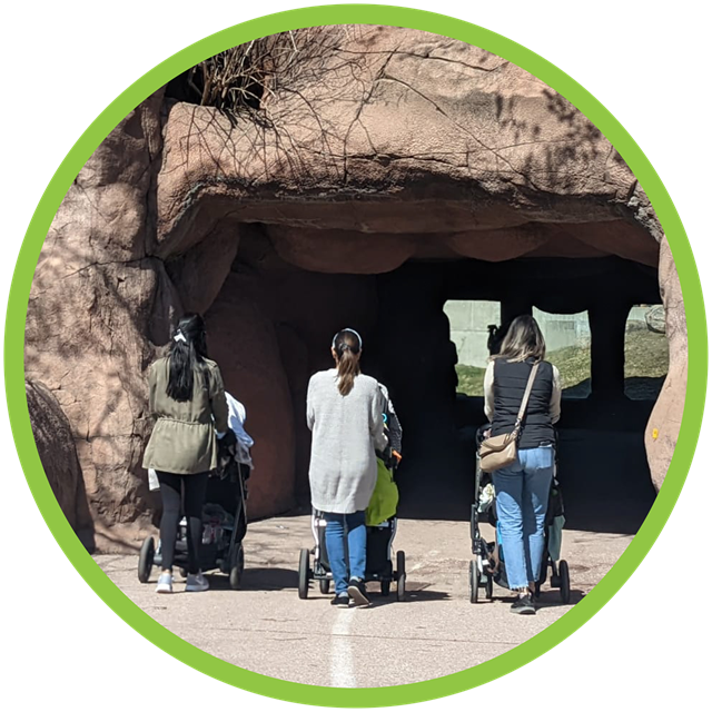 3 women entering lion viewing tunnel with strollers