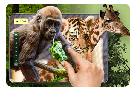 Image of Gorilla, Tiger, and Giraffe on an ipad screen