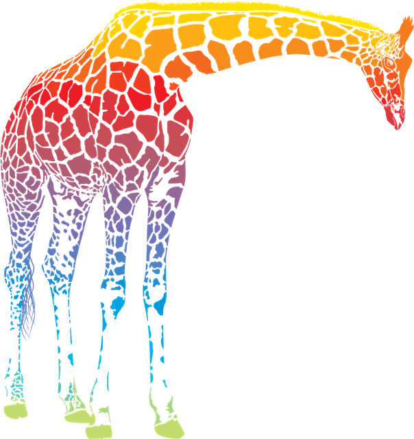 Rainbow Giraffe Graphic