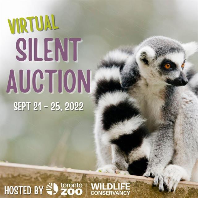 SilentAuction