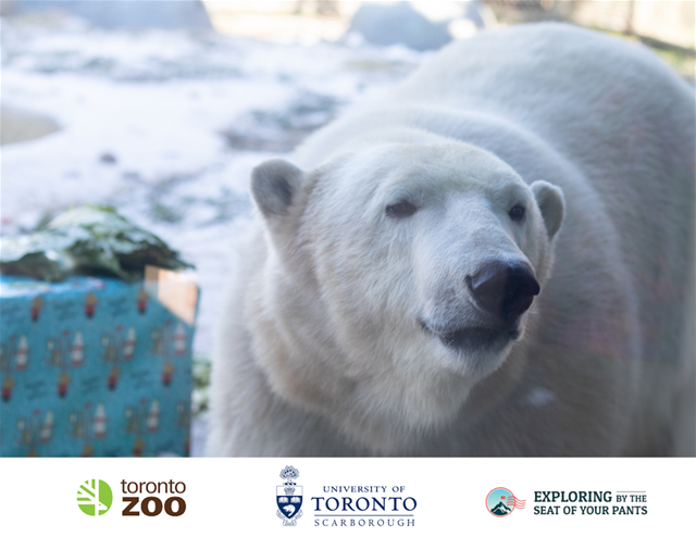 PolarBear
