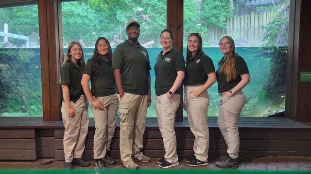 Staff