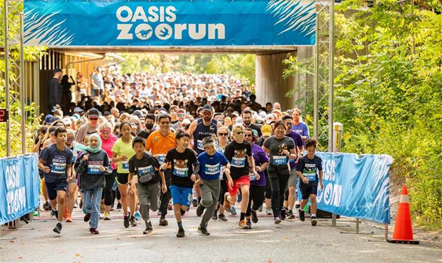 OasisZooRun