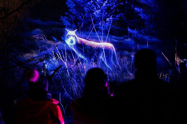 Terra Lumina