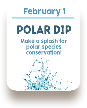 February 1 - Polar Dip