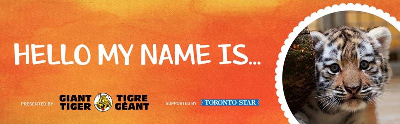 Toronto Zoo | Press Releases Toronto Zoo | Press Releases